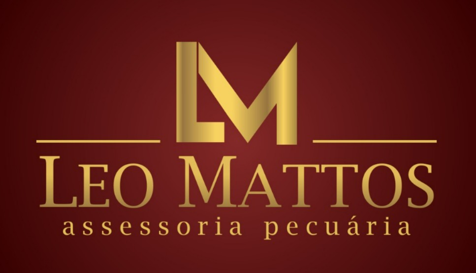 LEO MATTOS